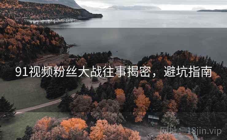 91视频粉丝大战往事揭密，避坑指南