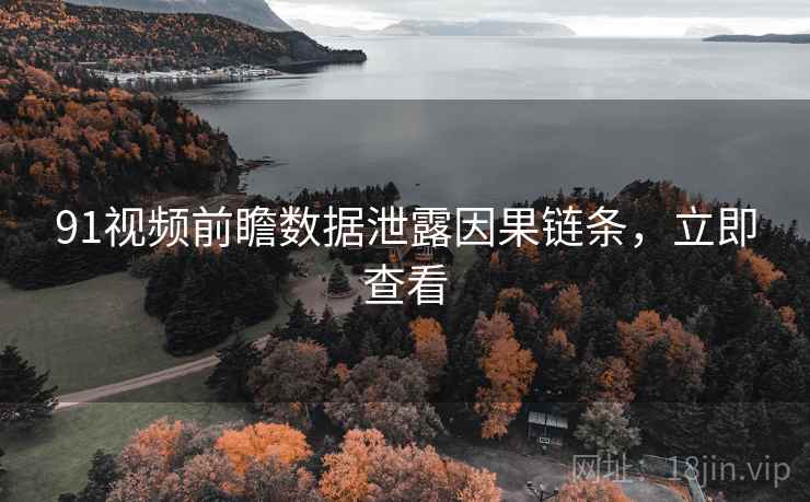 91视频前瞻数据泄露因果链条，立即查看