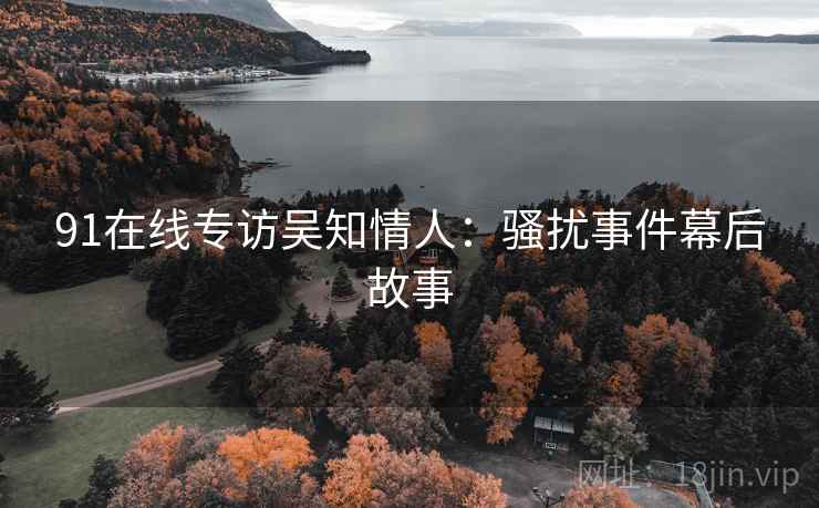91在线专访吴知情人：骚扰事件幕后故事