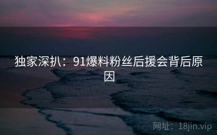 独家深扒：91爆料粉丝后援会背后原因