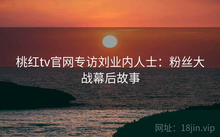 桃红tv官网专访刘业内人士：粉丝大战幕后故事