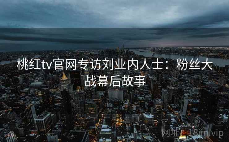 桃红tv官网专访刘业内人士：粉丝大战幕后故事