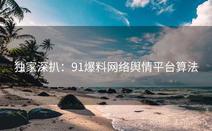 独家深扒：91爆料网络舆情平台算法
