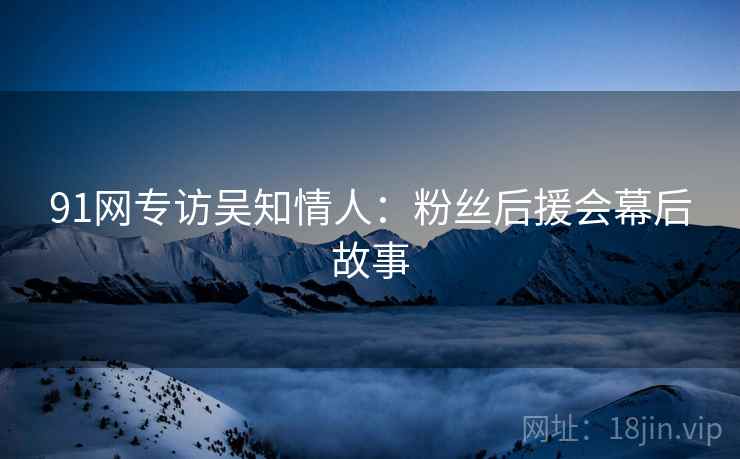 91网专访吴知情人：粉丝后援会幕后故事