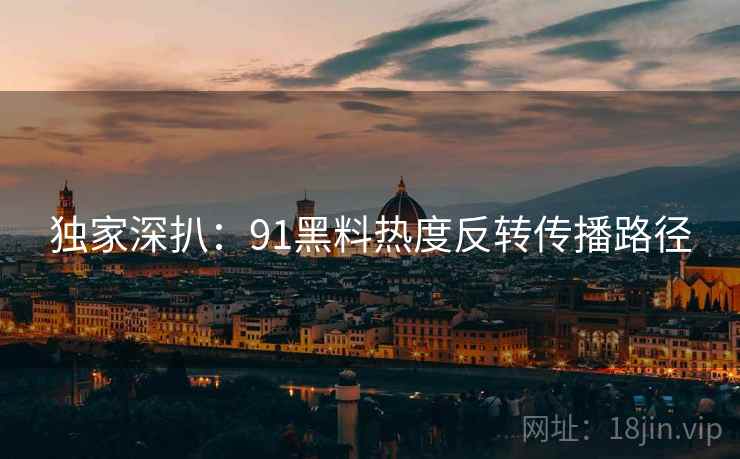 独家深扒：91黑料热度反转传播路径