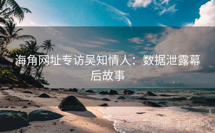 海角网址专访吴知情人：数据泄露幕后故事