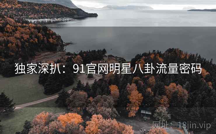 独家深扒：91官网明星八卦流量密码