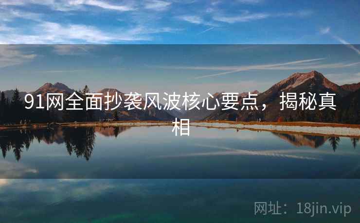 91网全面抄袭风波核心要点，揭秘真相