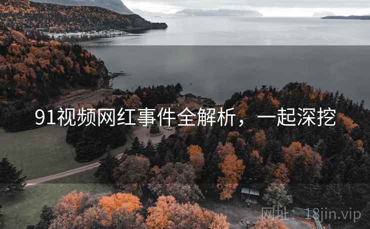 91视频网红事件全解析,一起深挖