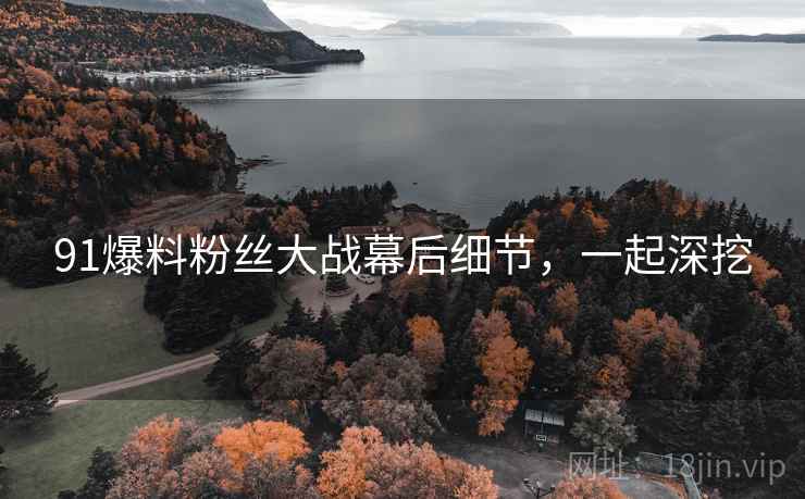 91爆料粉丝大战幕后细节，一起深挖