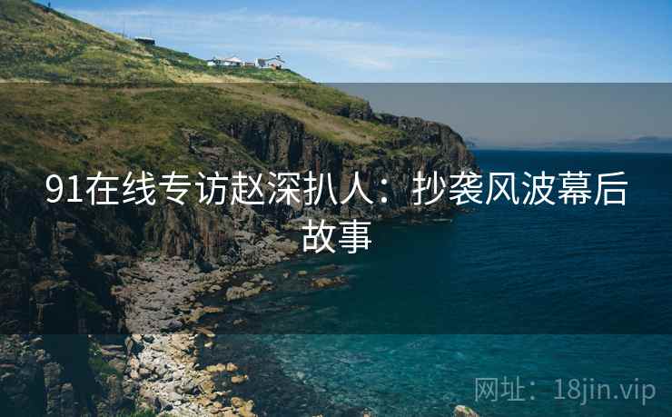 91在线专访赵深扒人：抄袭风波幕后故事