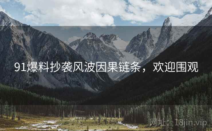 91爆料抄袭风波因果链条，欢迎围观
